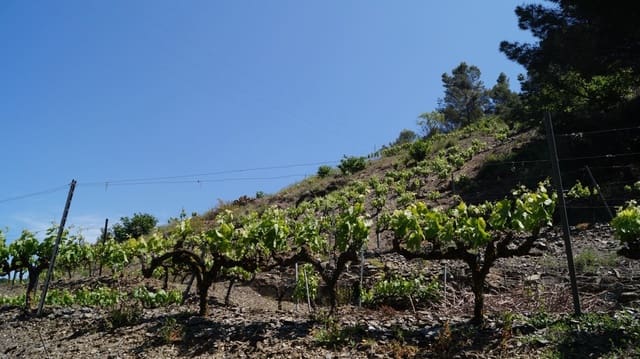 Finca/Hus på landet till salu i Gratallops - 320 000 € (Ref: 9617973)