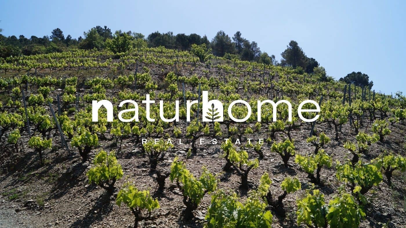 Finca/Hus på landet till salu i Gratallops - 320 000 € (Ref: 9617973)