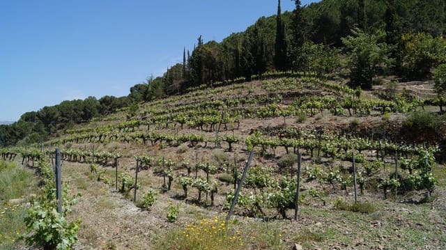 Finca/Hus på landet till salu i Gratallops - 320 000 € (Ref: 9617973)