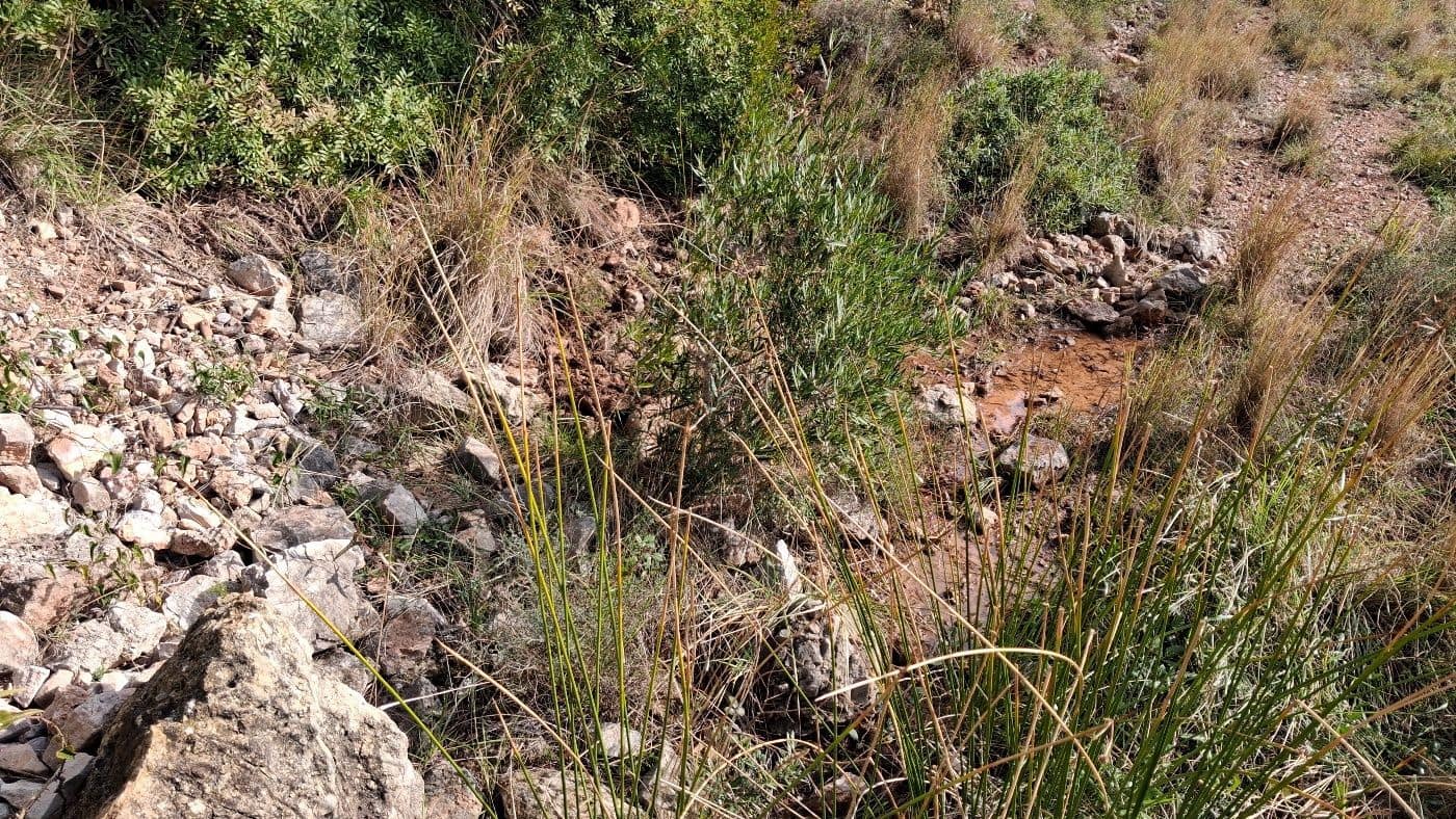 Finca/Casa Rural en Pratdip en venta - 350.000 € (Ref: 9660620)