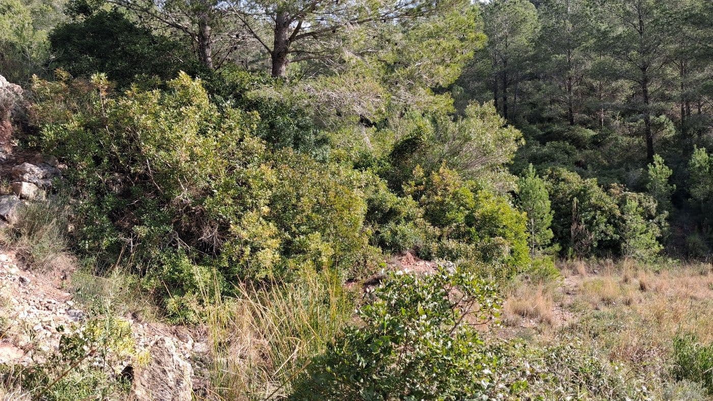 Finca/Casa Rural en Pratdip en venta - 350.000 € (Ref: 9660620)