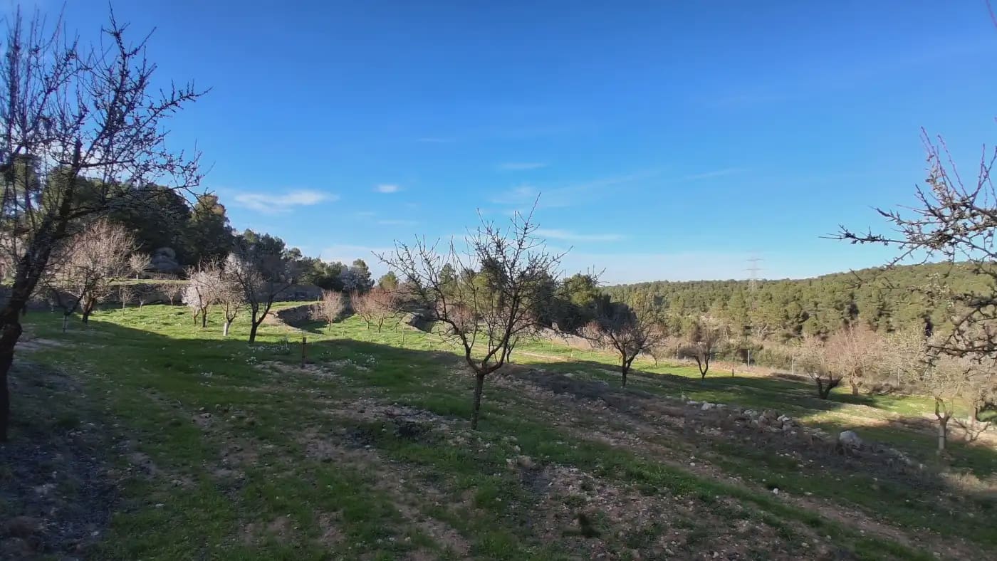 Finca/Country House for sale in El Vilosell - € 45,000 (Ref: 9801405)