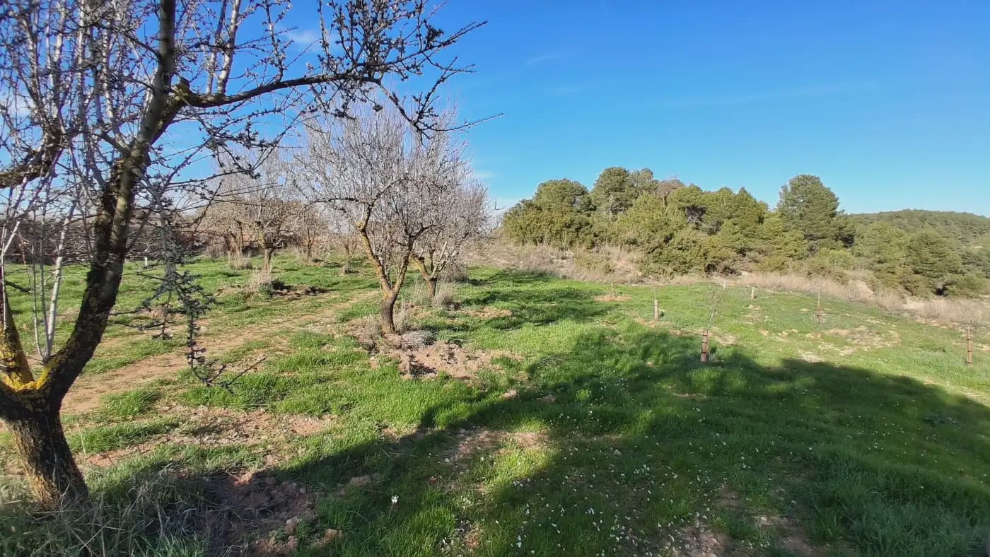 Finca/Country House for sale in El Vilosell - € 45,000 (Ref: 9801405)