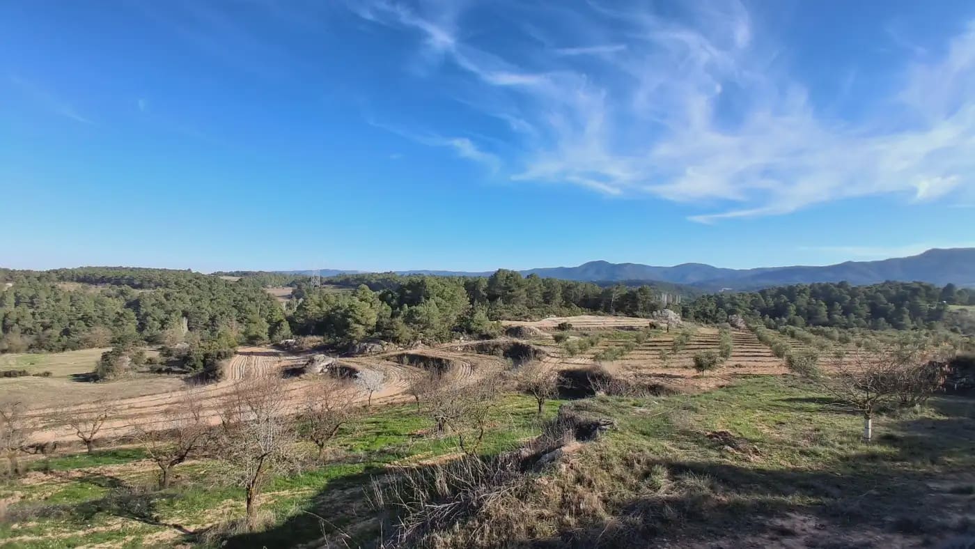 Finca/Country House for sale in El Vilosell - € 45,000 (Ref: 9801405)