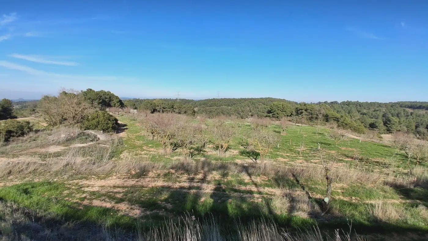 Finca/Country House for sale in El Vilosell - € 45,000 (Ref: 9801405)