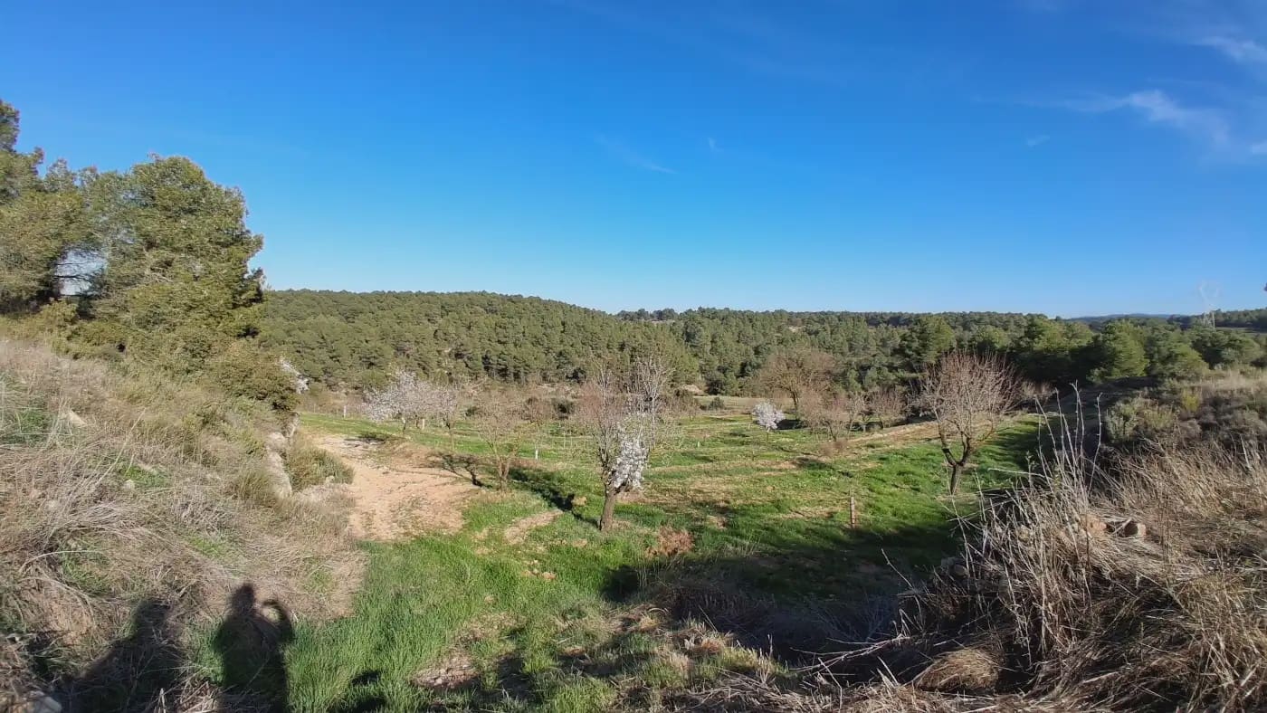 Finca/Country House for sale in El Vilosell - € 45,000 (Ref: 9801405)