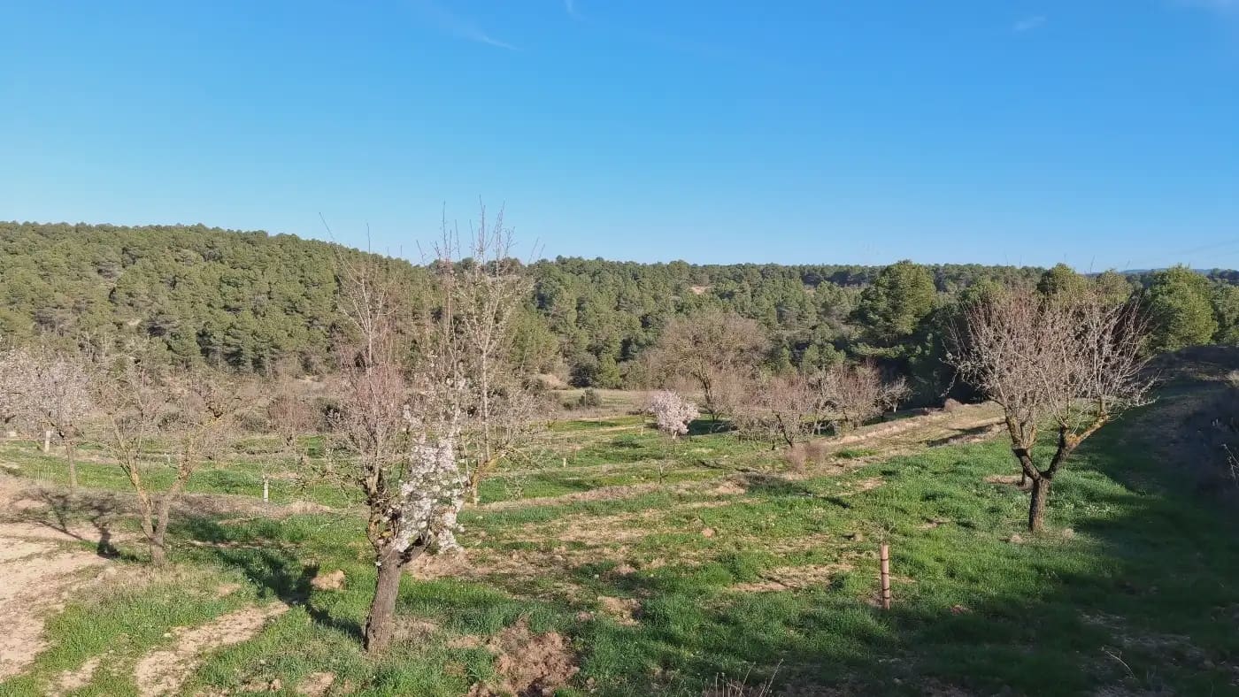 Finca/Country House for sale in El Vilosell - € 45,000 (Ref: 9801405)