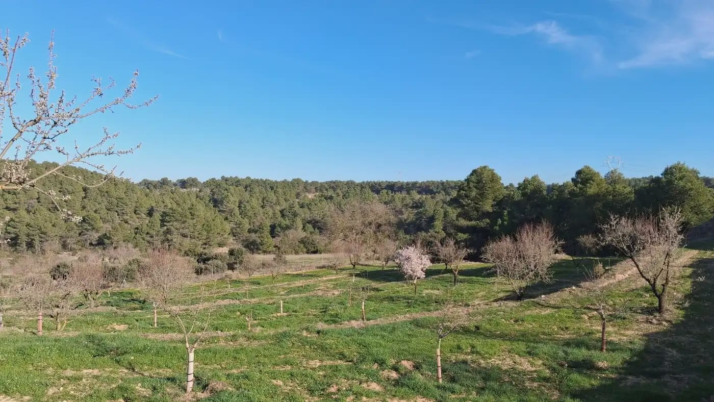 Finca/Country House for sale in El Vilosell - € 45,000 (Ref: 9801405)