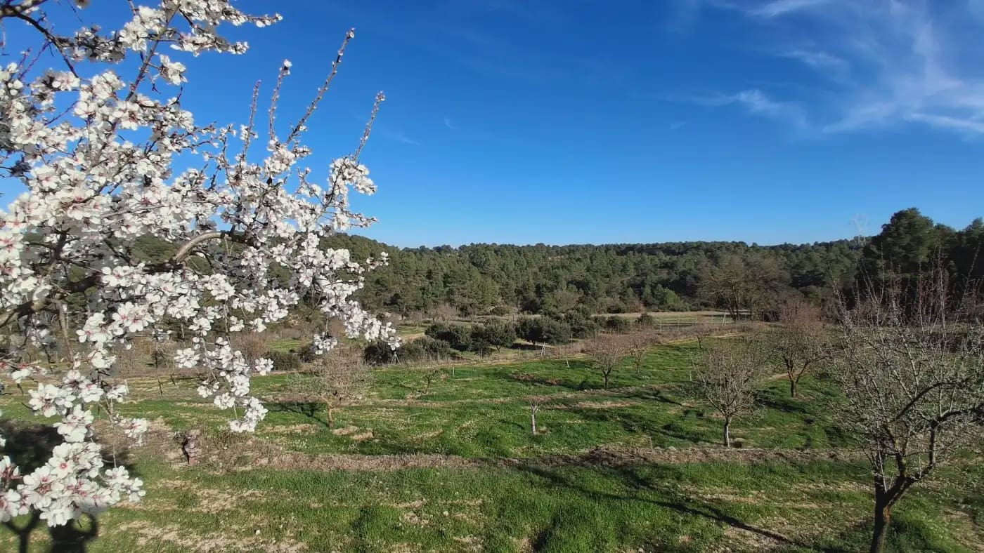 Finca/Country House for sale in El Vilosell - € 45,000 (Ref: 9801405)