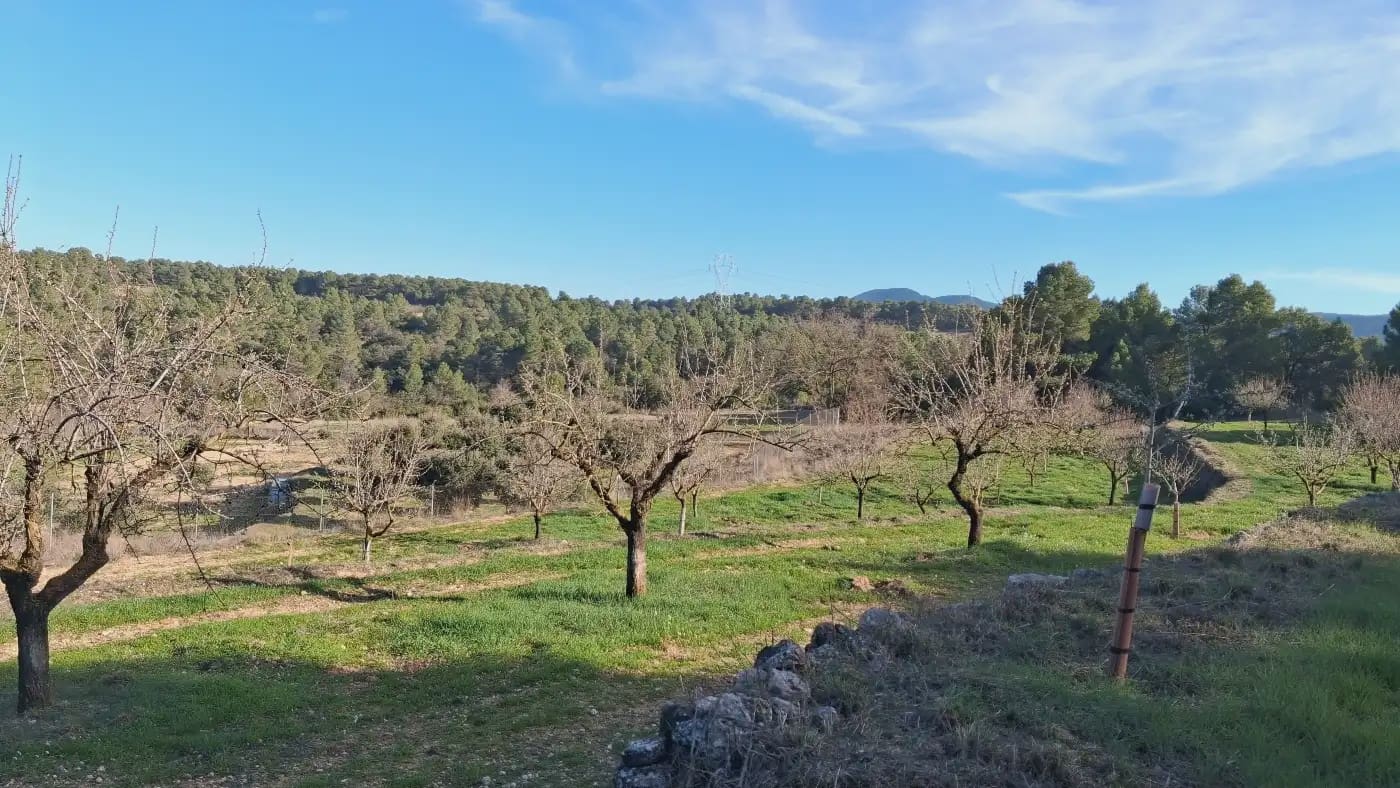Finca/Country House for sale in El Vilosell - € 45,000 (Ref: 9801405)