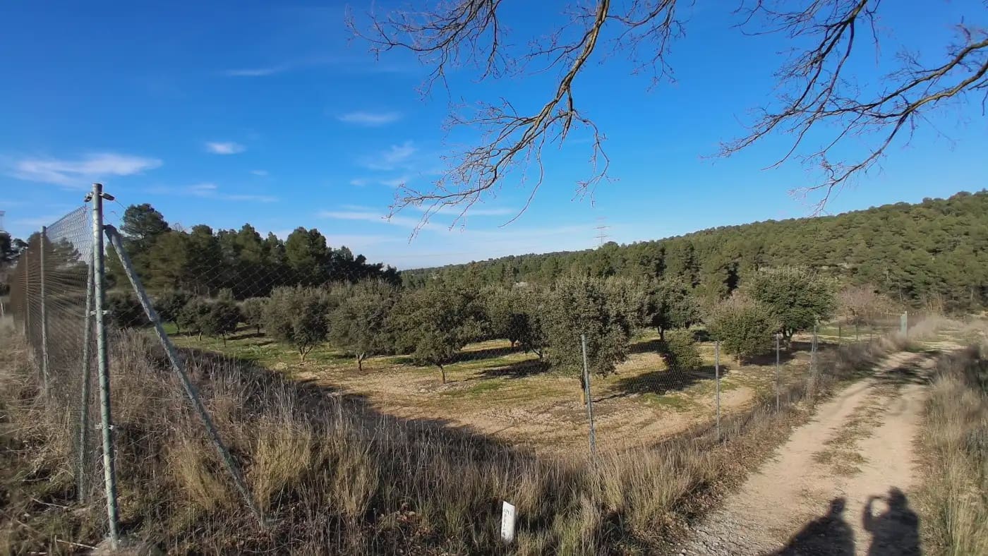 Finca/Country House for sale in El Vilosell - € 45,000 (Ref: 9801405)