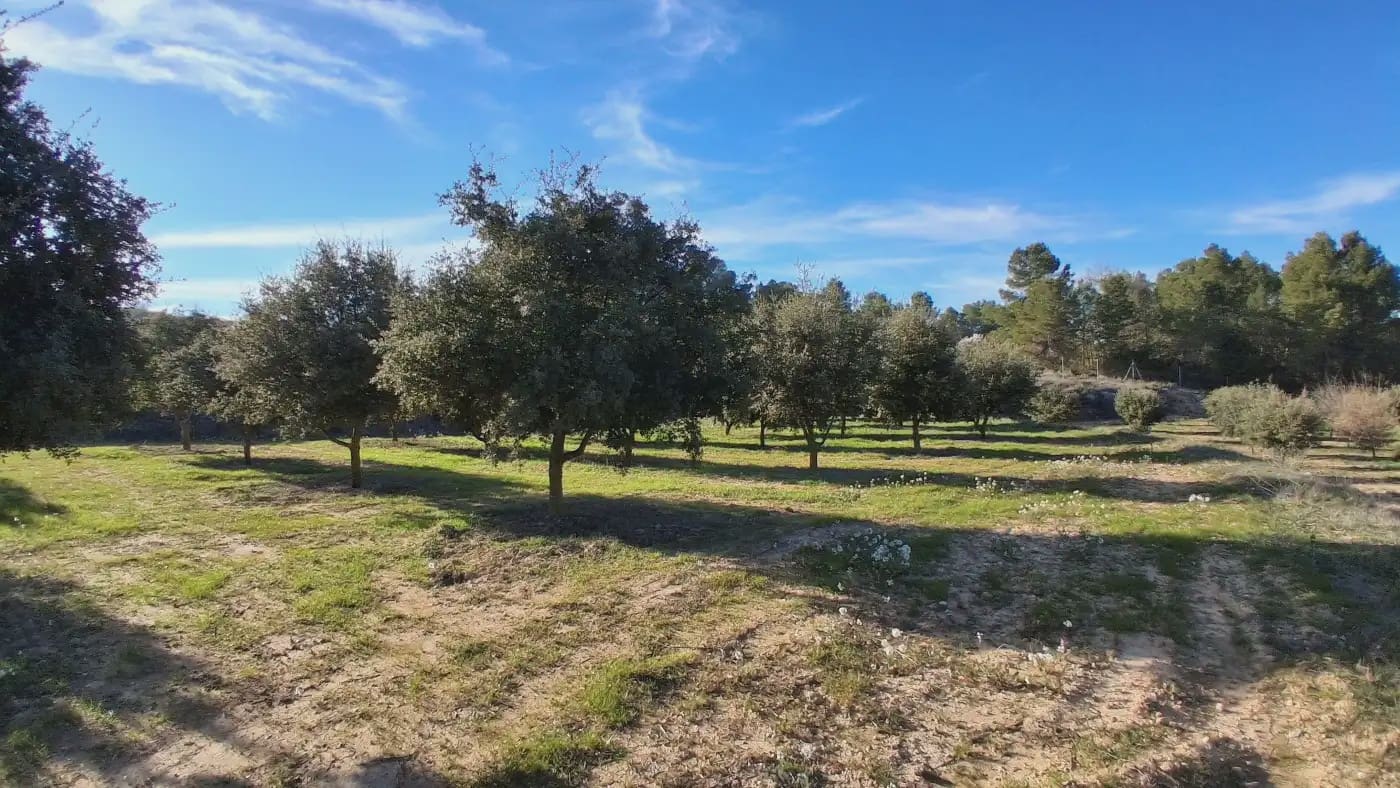 Finca/Country House for sale in El Vilosell - € 45,000 (Ref: 9801405)