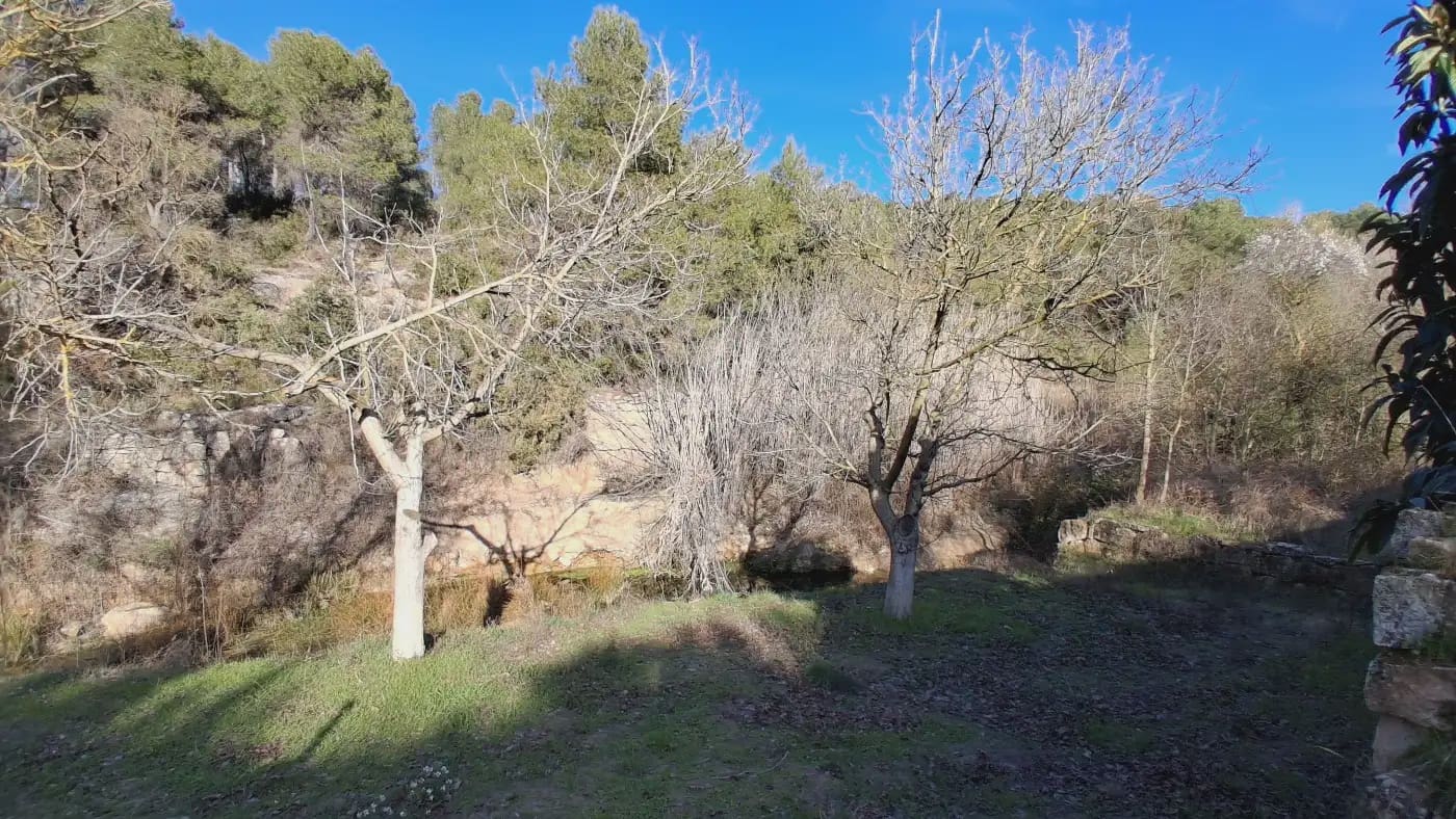 Finca/Country House for sale in El Vilosell - € 45,000 (Ref: 9801405)