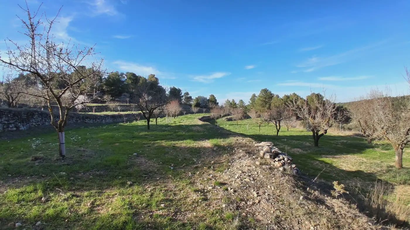 Finca/Country House for sale in El Vilosell - € 45,000 (Ref: 9801405)