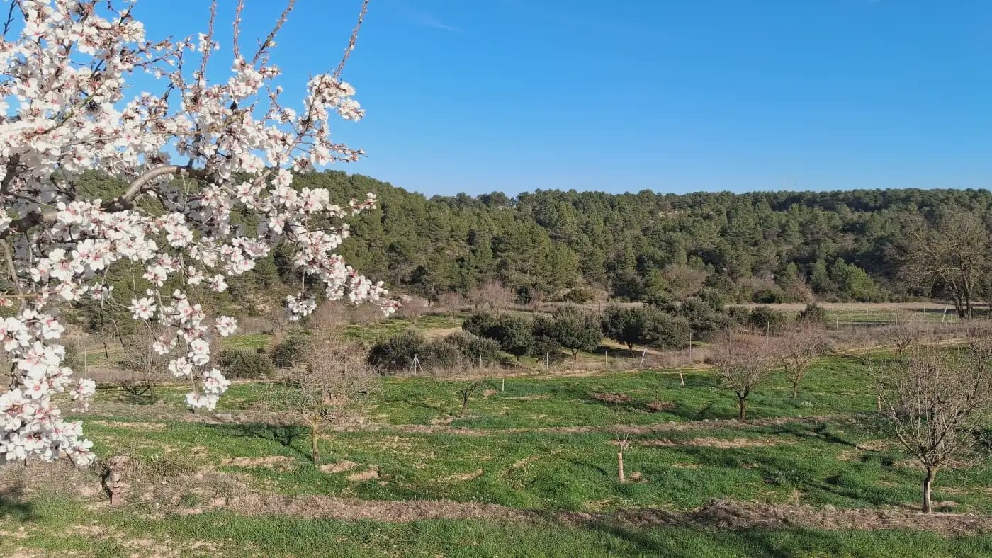 Finca/Country House for sale in El Vilosell - € 45,000 (Ref: 9801405)