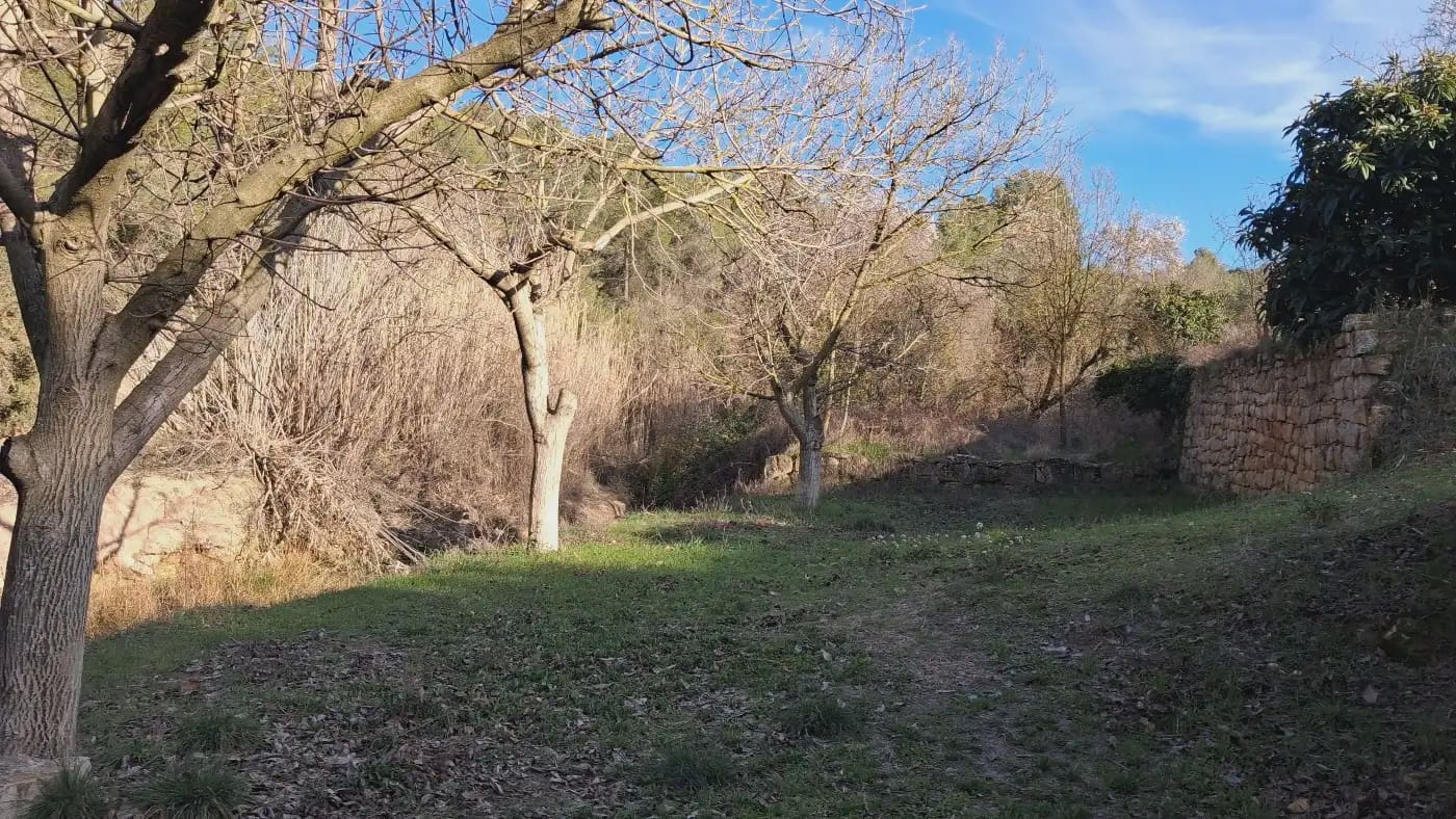 Finca/Country House for sale in El Vilosell - € 45,000 (Ref: 9801405)