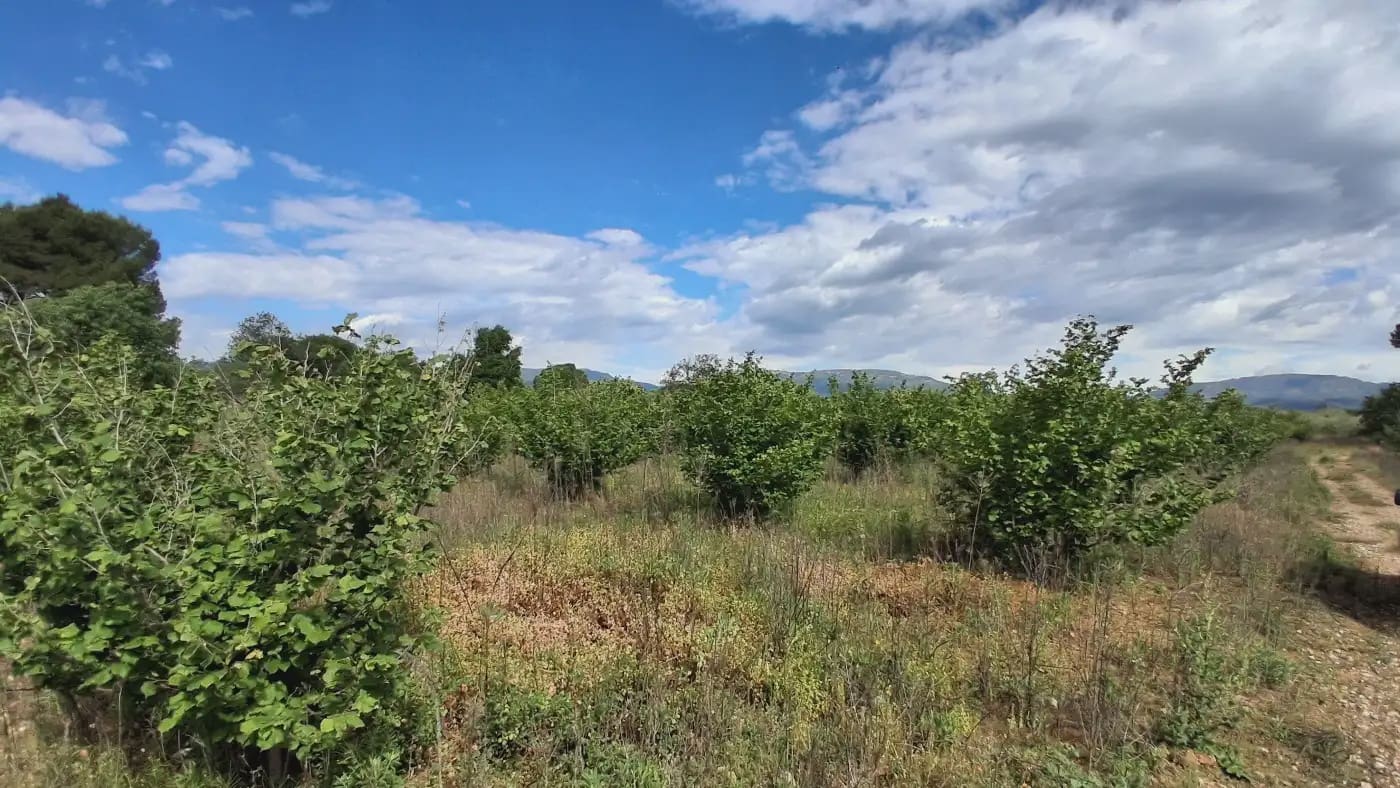 Finca/Country House for sale in El Mila - € 160,000 (Ref: 9885301)