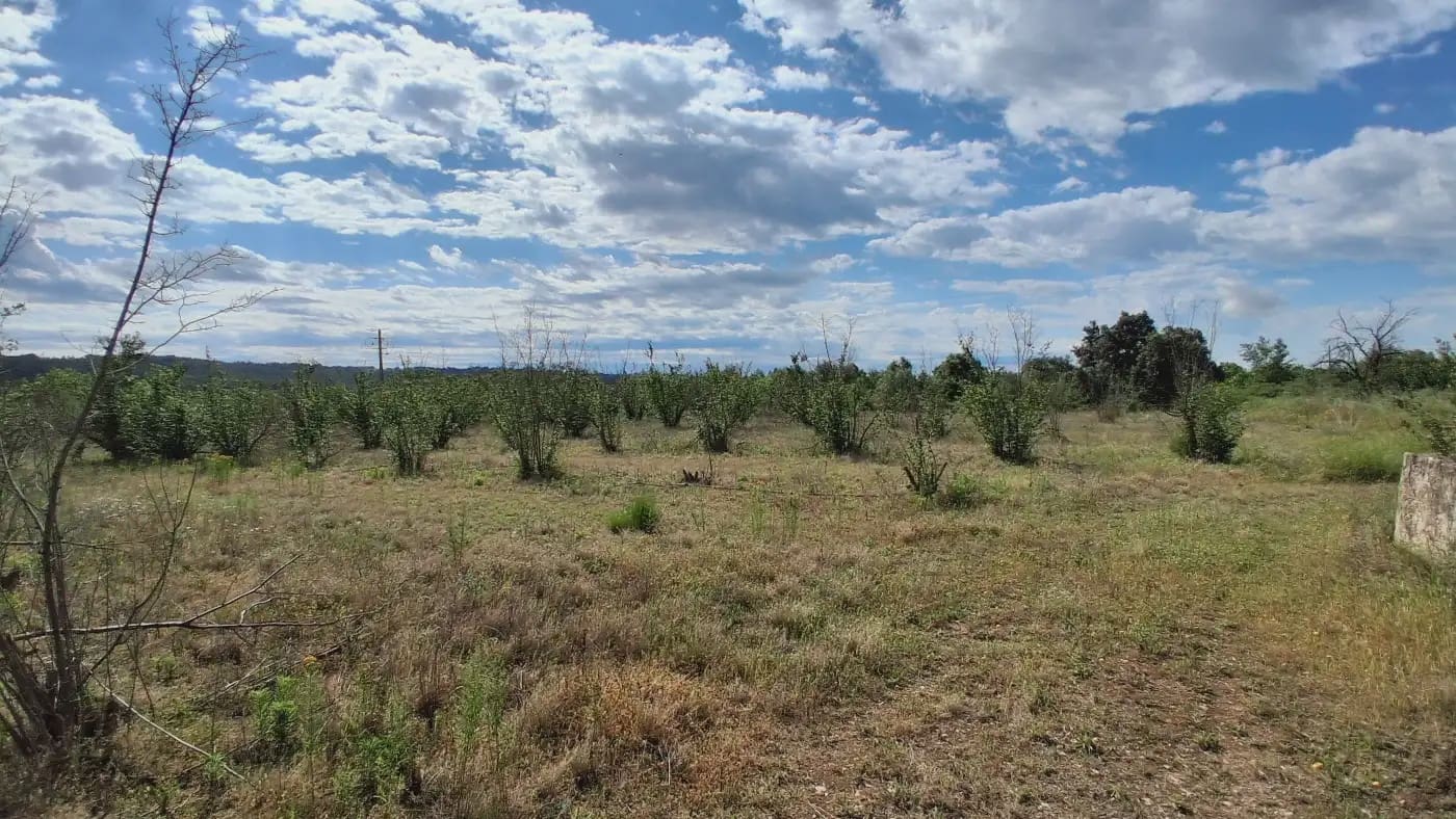 Finca/Country House for sale in El Mila - € 160,000 (Ref: 9885301)