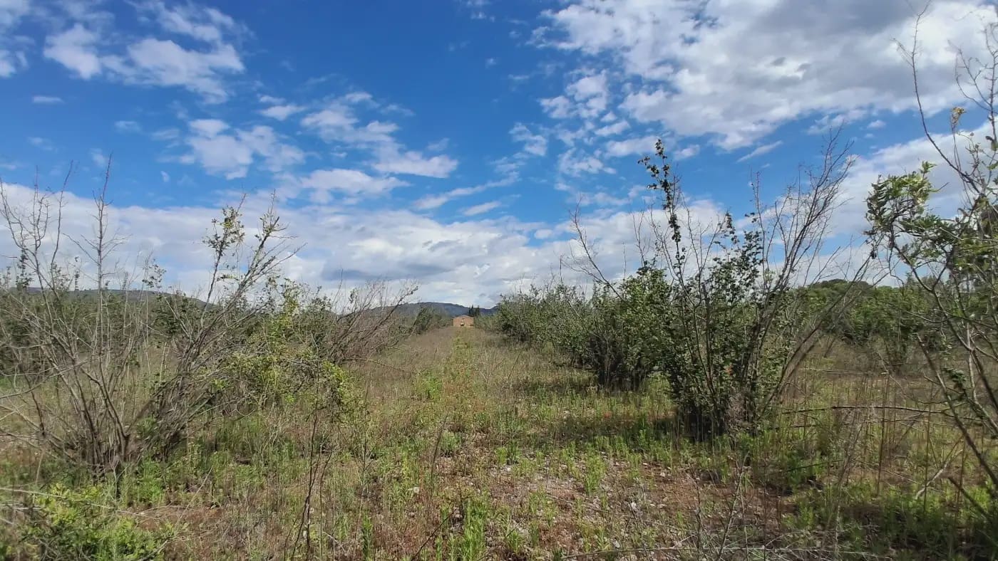 Finca/Country House for sale in El Mila - € 160,000 (Ref: 9885301)