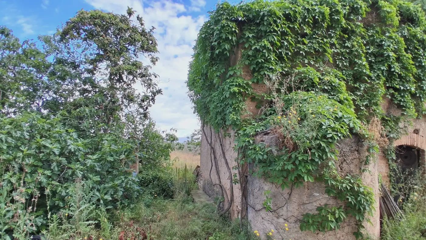 Finca/Country House for sale in El Mila - € 160,000 (Ref: 9885301)