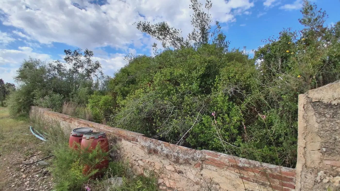 Finca/Country House for sale in El Mila - € 160,000 (Ref: 9885301)