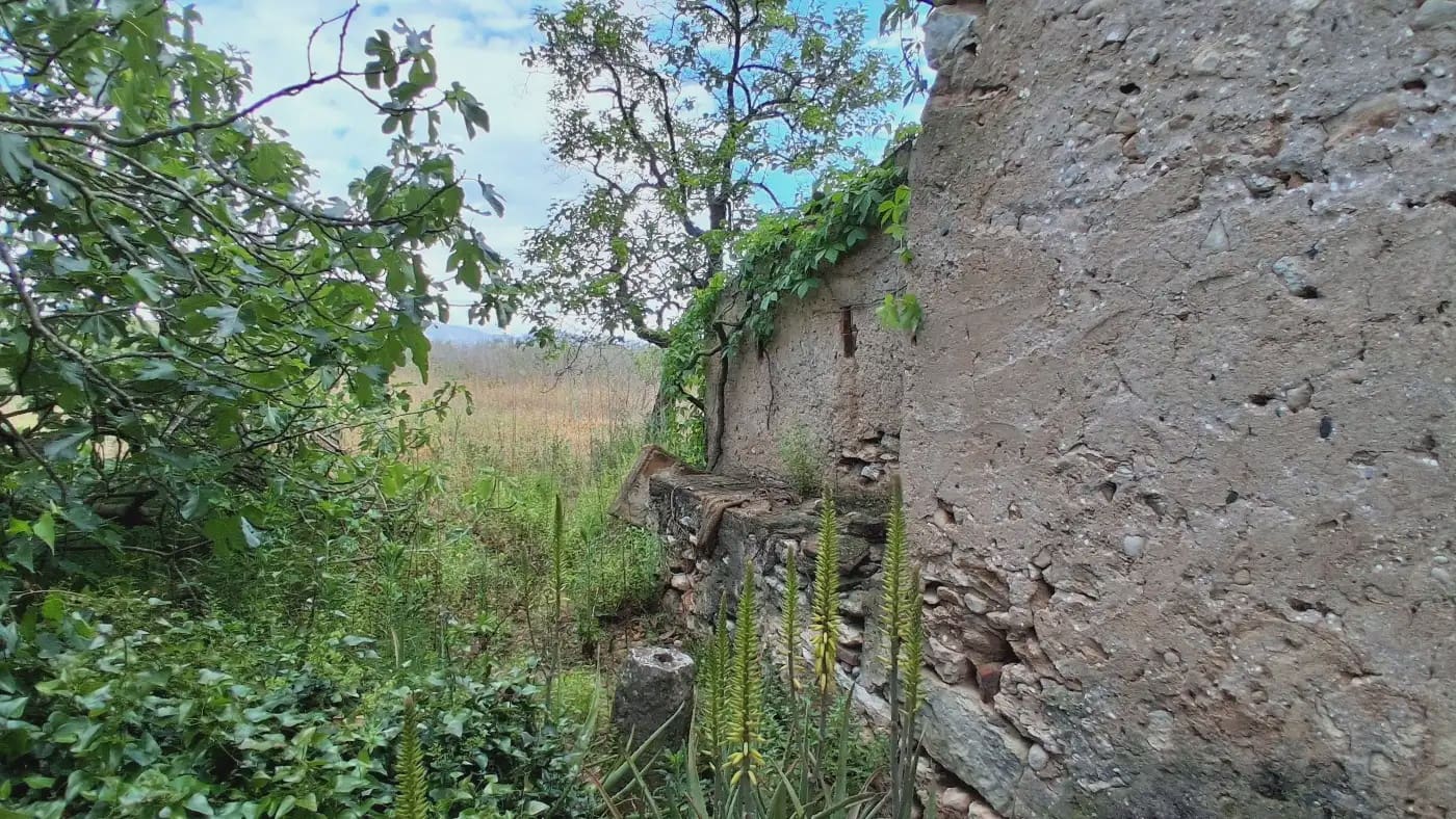 Finca/Country House for sale in El Mila - € 160,000 (Ref: 9885301)