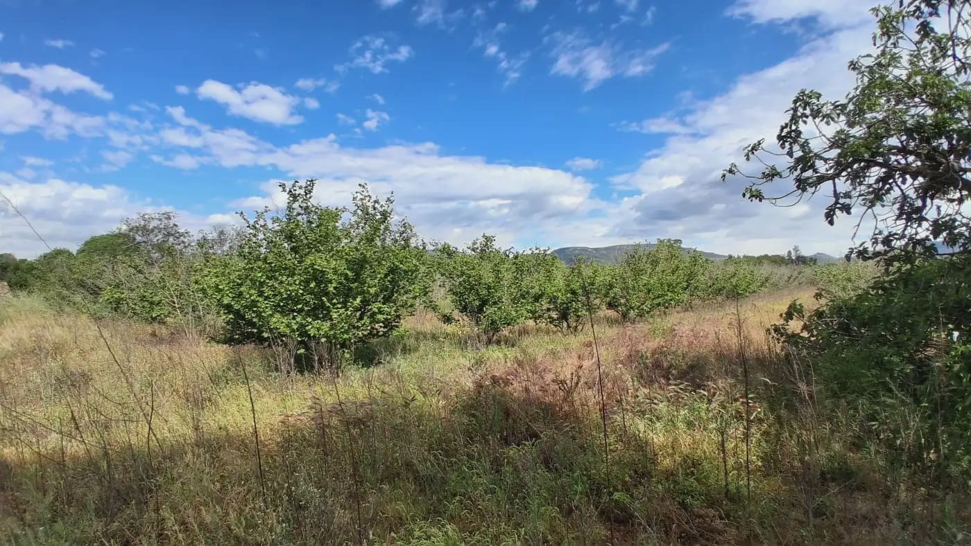 Finca/Country House for sale in El Mila - € 160,000 (Ref: 9885301)