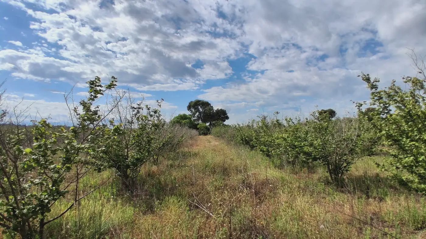 Finca/Country House for sale in El Mila - € 160,000 (Ref: 9885301)