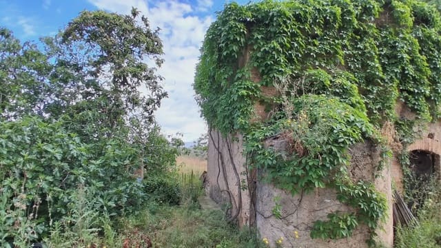 Finca/Country House for sale in El Milà - € 160,000 (Ref: 9885301)