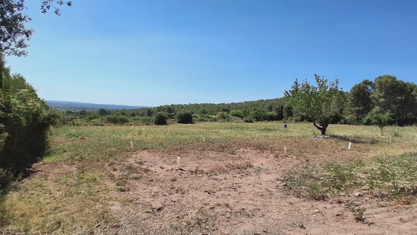 3 bedroom Finca/Country House for sale in Alcover - € 385,000 (Ref: 9946760)