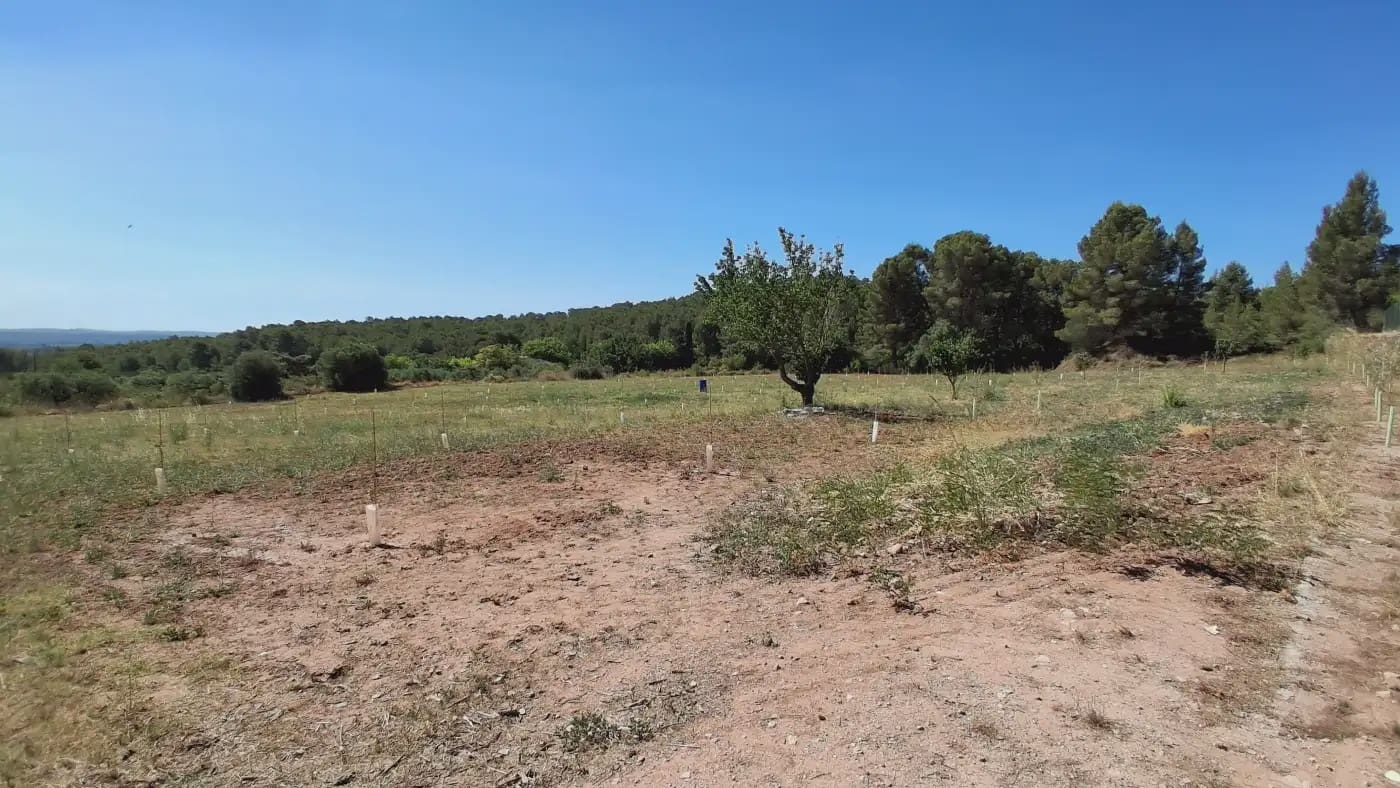 3 bedroom Finca/Country House for sale in Alcover - € 385,000 (Ref: 9946760)