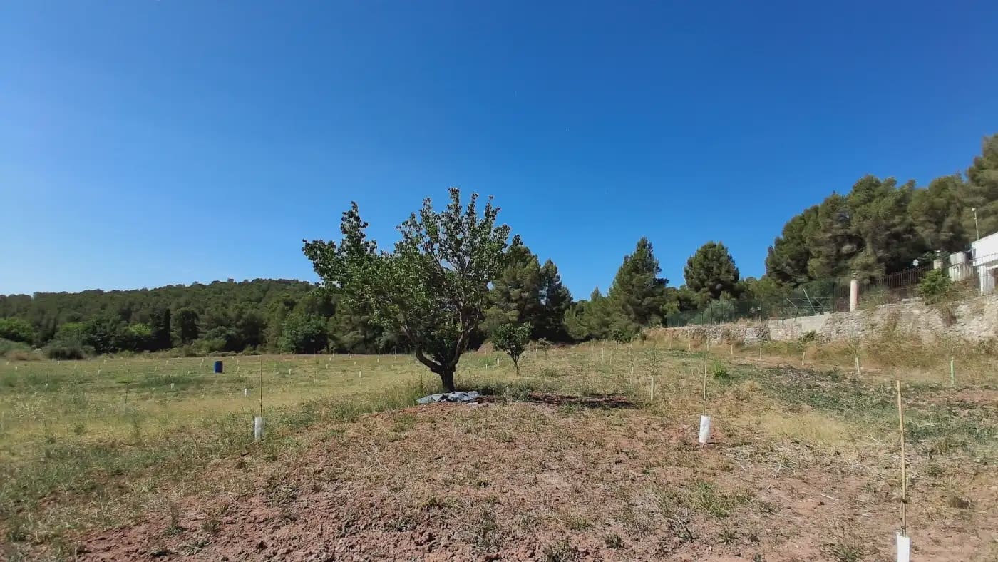 3 bedroom Finca/Country House for sale in Alcover - € 385,000 (Ref: 9946760)