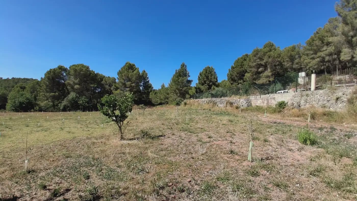 3 bedroom Finca/Country House for sale in Alcover - € 385,000 (Ref: 9946760)