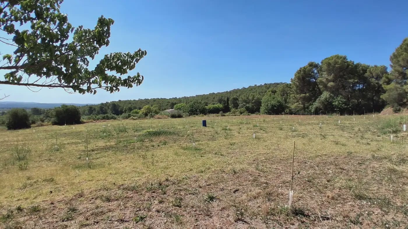 3 bedroom Finca/Country House for sale in Alcover - € 385,000 (Ref: 9946760)