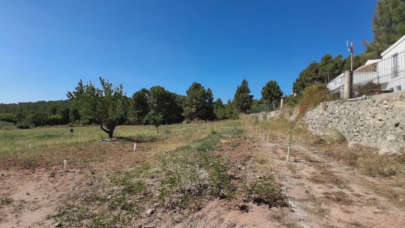 3 bedroom Finca/Country House for sale in Alcover - € 385,000 (Ref: 9946760)