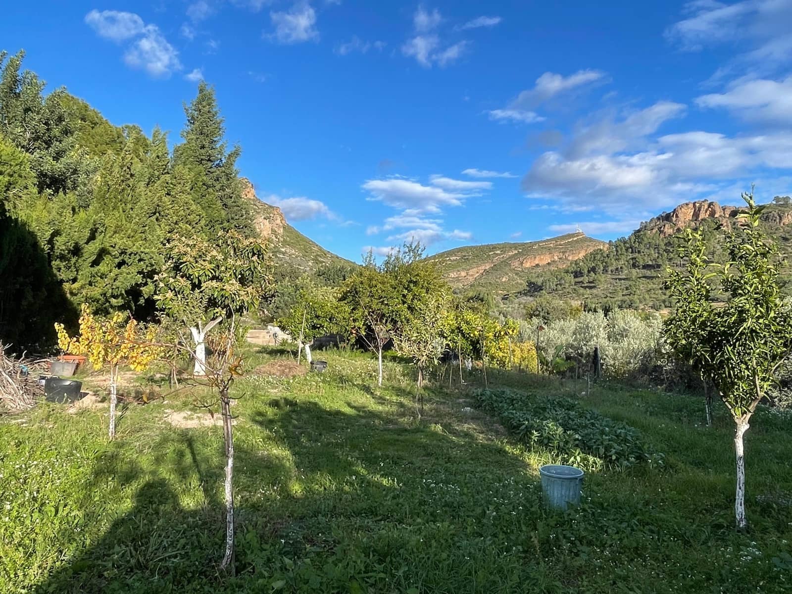 3 slaapkamer Huis te koop in Bugarra met zwembad garage - € 199.000 (Ref: 9623184)