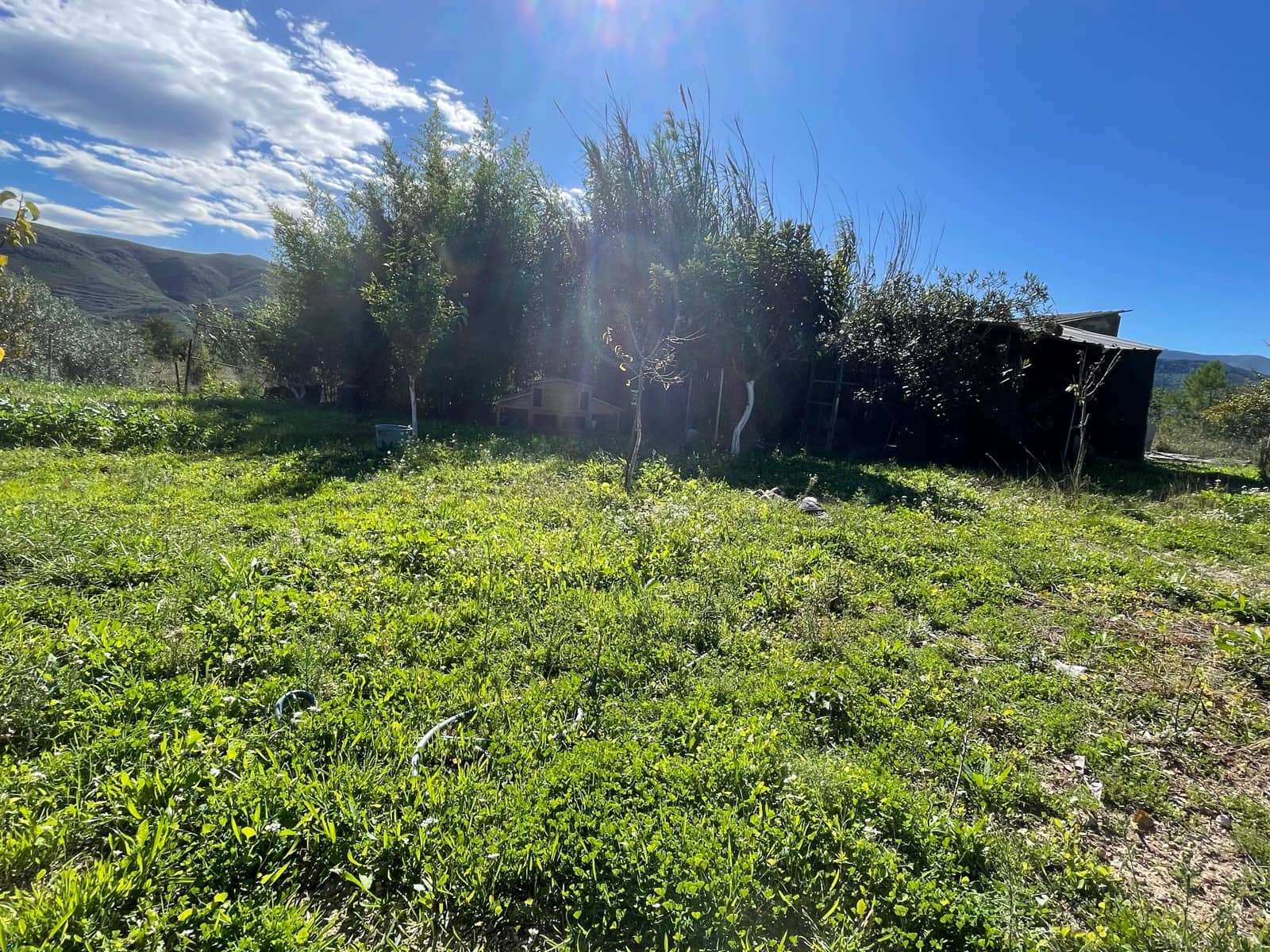 3 slaapkamer Huis te koop in Bugarra met zwembad garage - € 199.000 (Ref: 9623184)