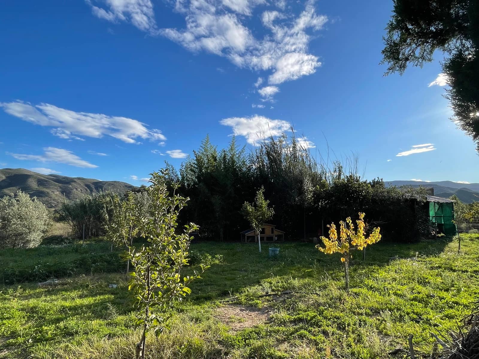 3 slaapkamer Huis te koop in Bugarra met zwembad garage - € 199.000 (Ref: 9623184)