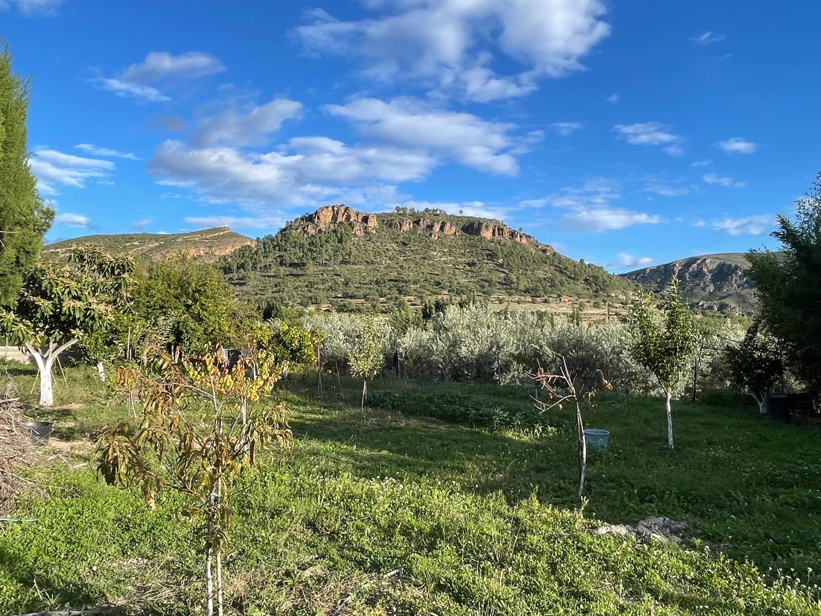 3 slaapkamer Huis te koop in Bugarra met zwembad garage - € 199.000 (Ref: 9623184)