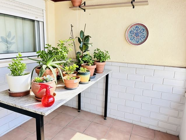 4 slaapkamer Flat te koop in Safranar, Valencia stad - € 330.000 (Ref: 9889058)