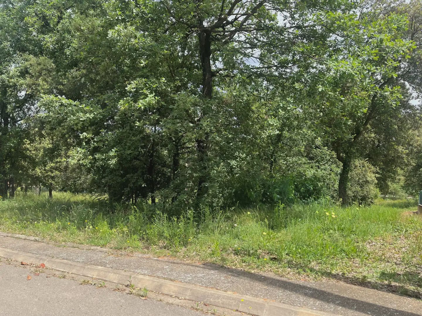 Building Plot for sale in Bescano - € 38,000 (Ref: 9849993)