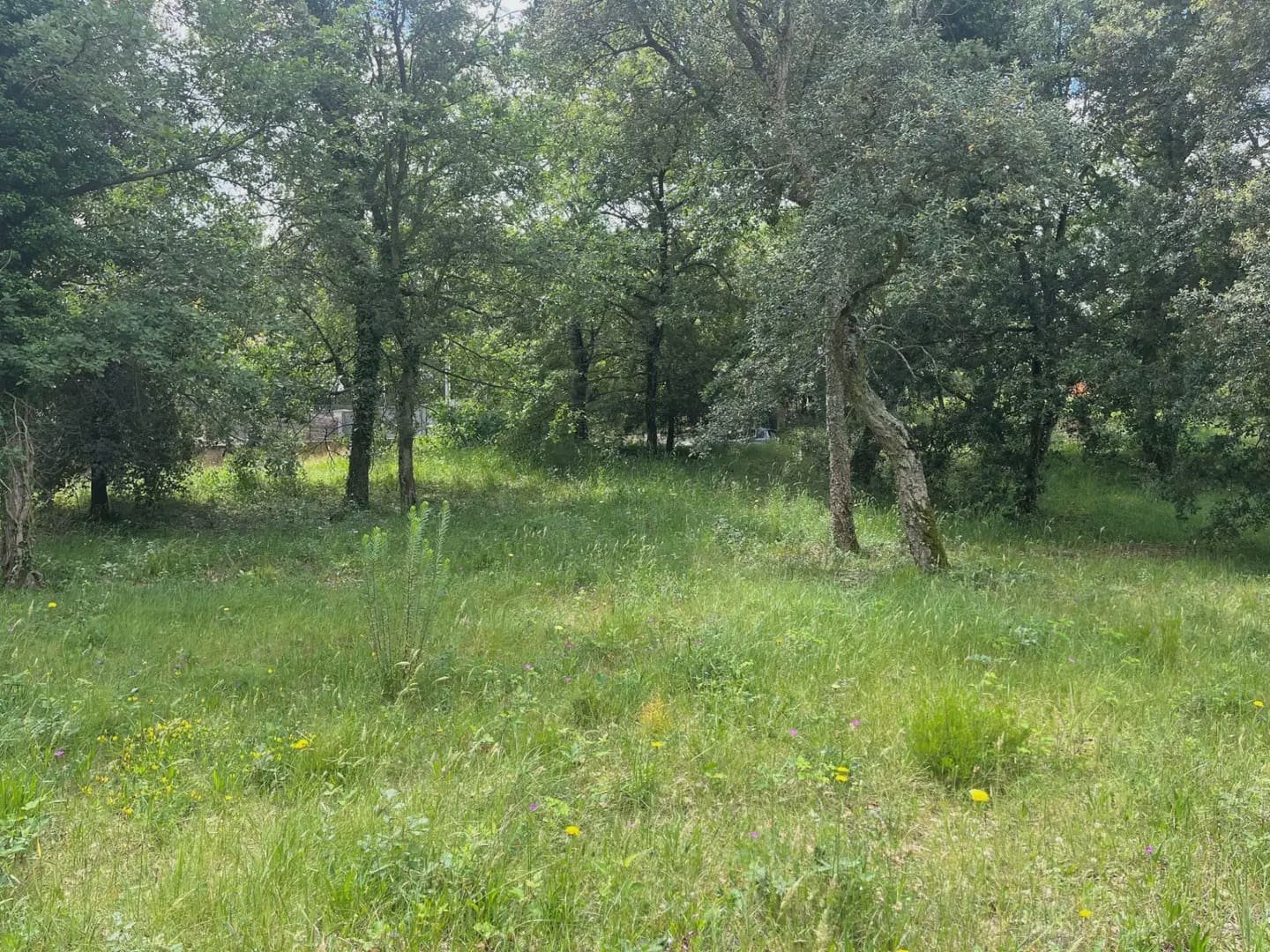 Building Plot for sale in Bescano - € 38,000 (Ref: 9849993)