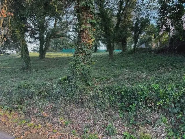 Building Plot for sale in Bescano - € 40,000 (Ref: 9849997)