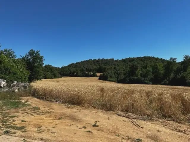 5 bedroom Finca/Country House for sale in Bescano with garage - € 475,000 (Ref: 9849998)
