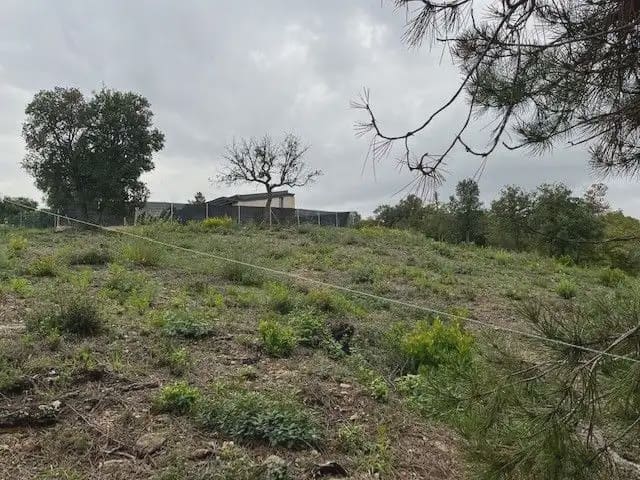 Terrain à Bâtir à vendre à Bescano - 34 000 € (Ref: 9849999)