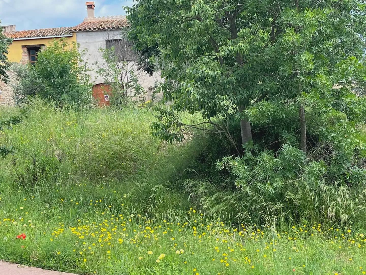 Building Plot for sale in Boadella d'Emporda - € 85,000 (Ref: 9850000)