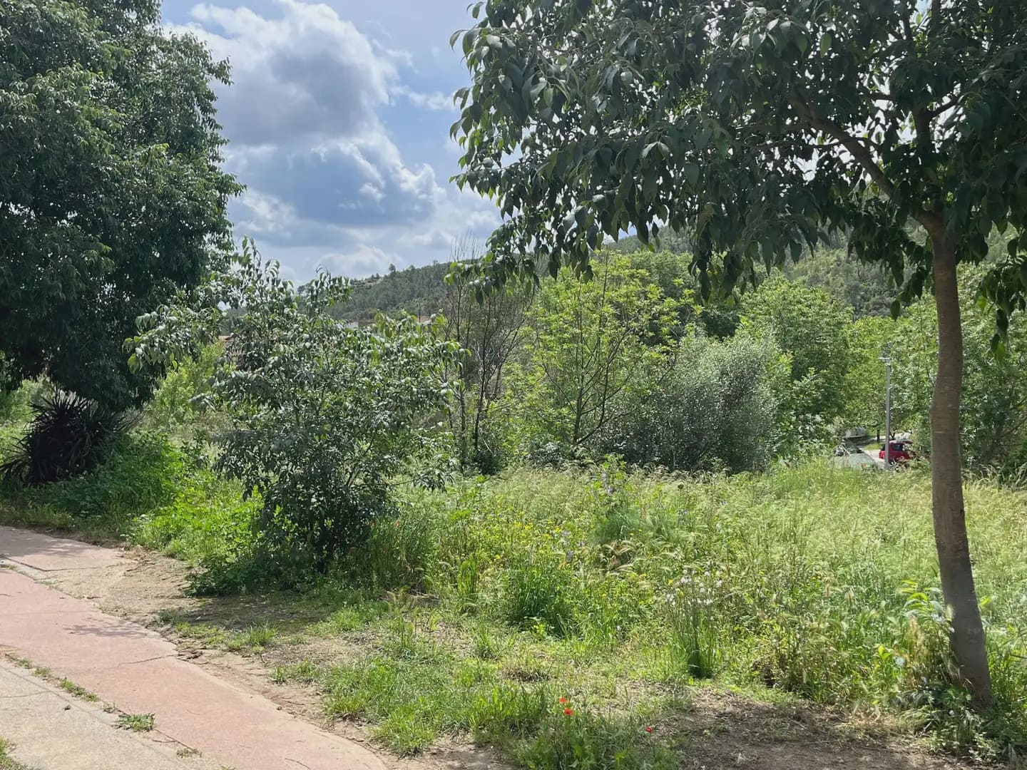 Building Plot for sale in Boadella d'Emporda - € 85,000 (Ref: 9850000)