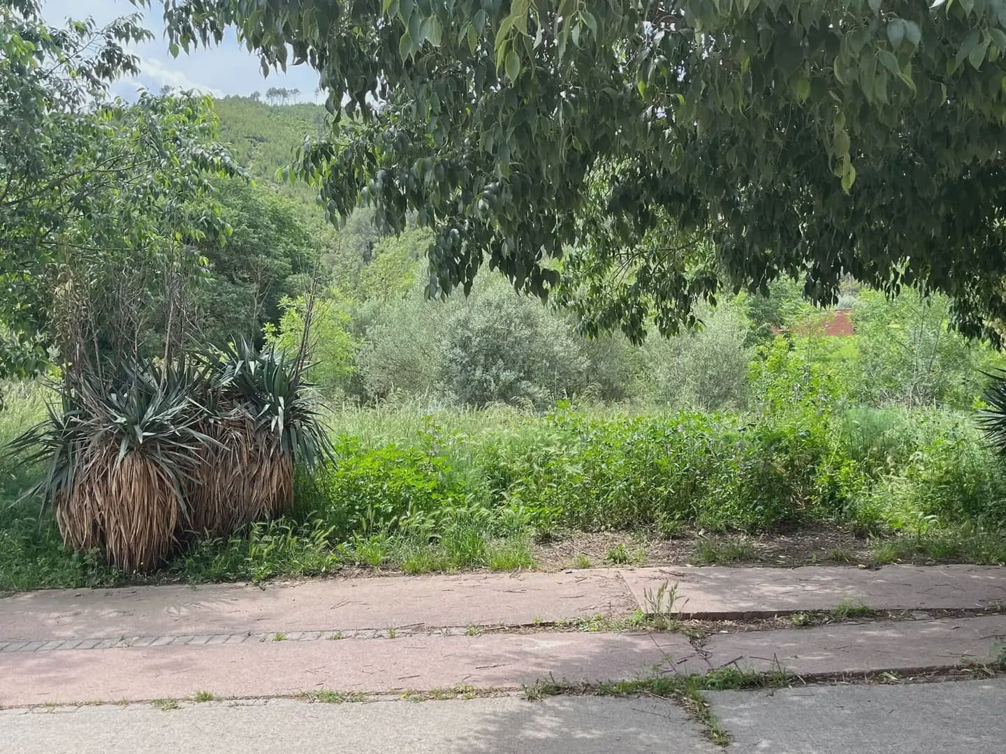 Building Plot for sale in Boadella d'Emporda - € 85,000 (Ref: 9850000)