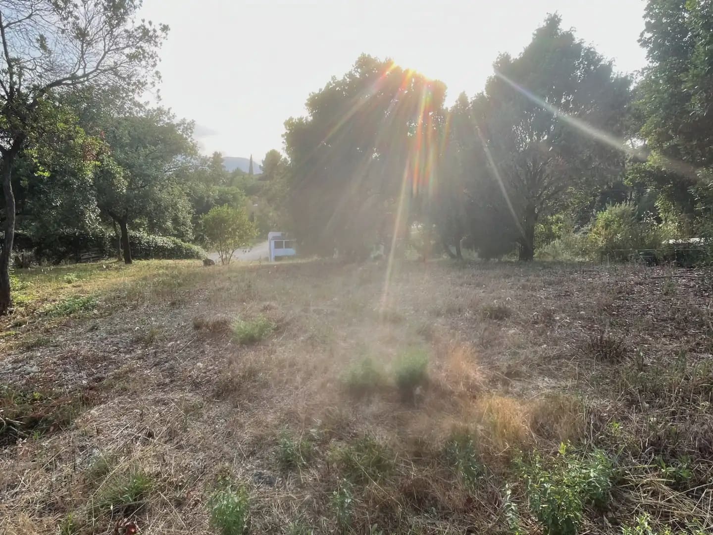 Building Plot for sale in Bescano - € 42,000 (Ref: 9850001)