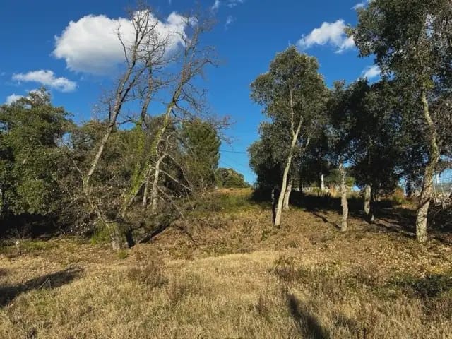 Building Plot for sale in Bescano - € 28,000 (Ref: 9850003)
